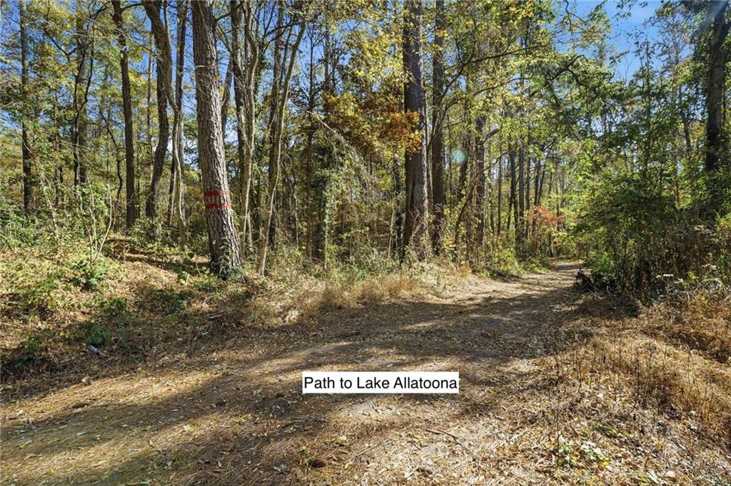 838 Old Allatoona Road Southeast Cartersville, GA 30121 - Photo 6 of 9