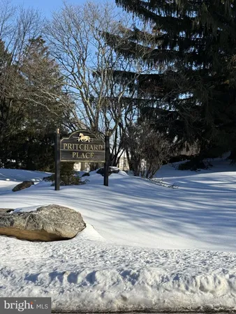 a view of a yard with trees