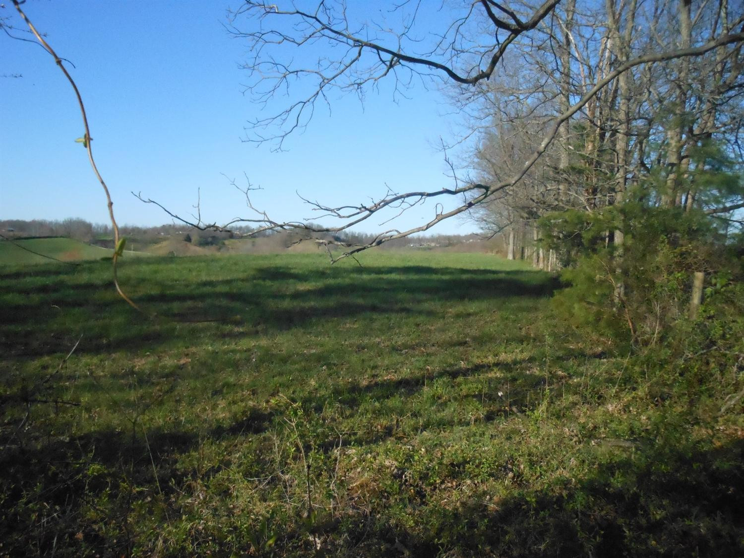 563 Keeton Lake Road Wellington, KY 40387 - Photo 24 of 76 Photo 24