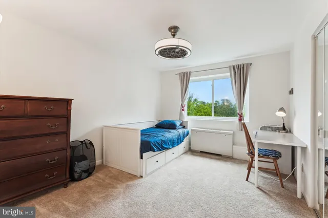 a room with furniture and a potted plant