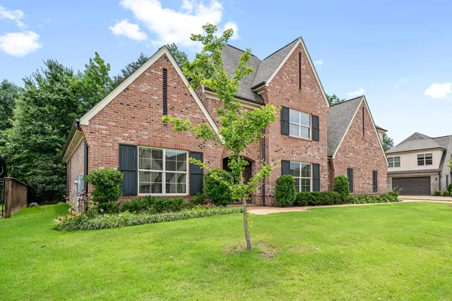 a view of a yard in front of a house