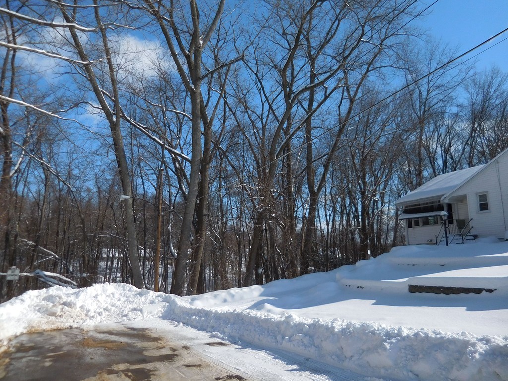 45 Whitmore Street Springfield, MA 01104 - Photo 3 of 14 Gallery Image 3
