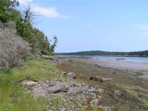Lot 9.4 Raft Cove Lubec, ME 04652 - Photo 1 of 2 20180818071340188632000000