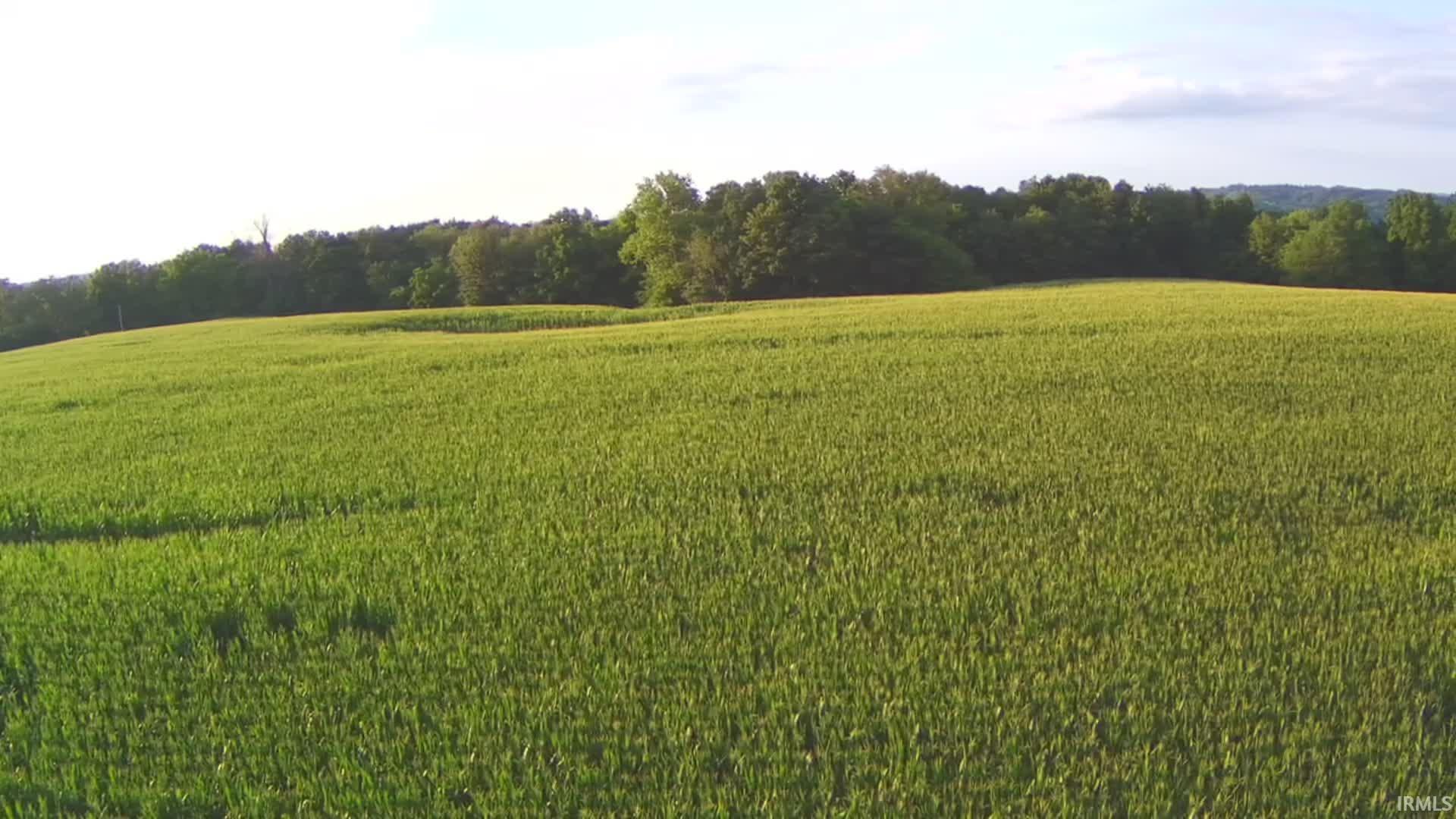 Lingenfelter Road Loogootee, IN 47553 - Photo 11 of 13