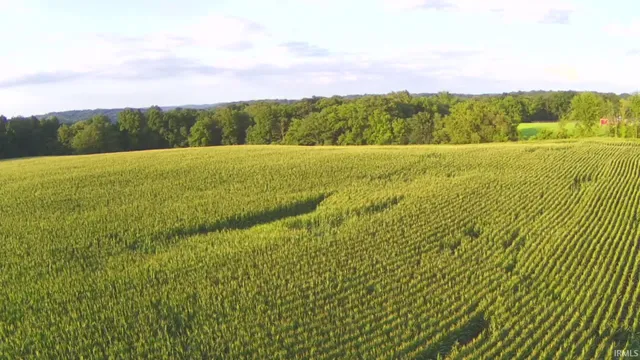 $290,000 | Lingenfelter Road, Loogootee, IN 47553