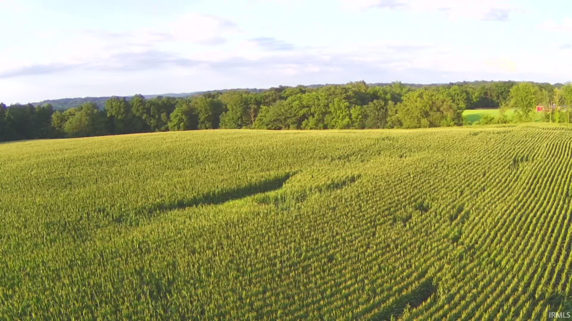 Lingenfelter Road Loogootee, IN 47553 - Photo 12 of 13