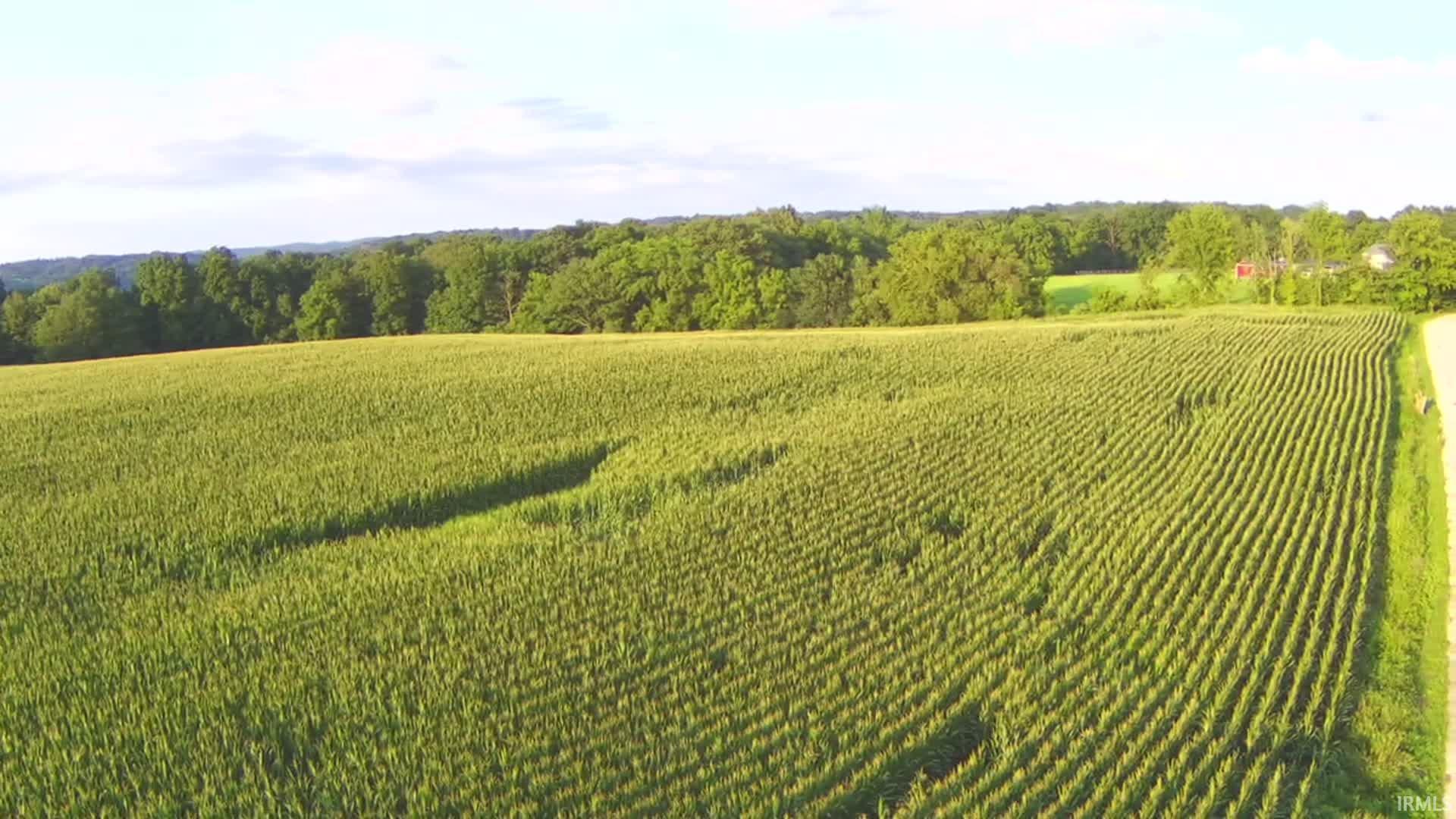 Lingenfelter Road Loogootee, IN 47553 - Photo 13 of 13