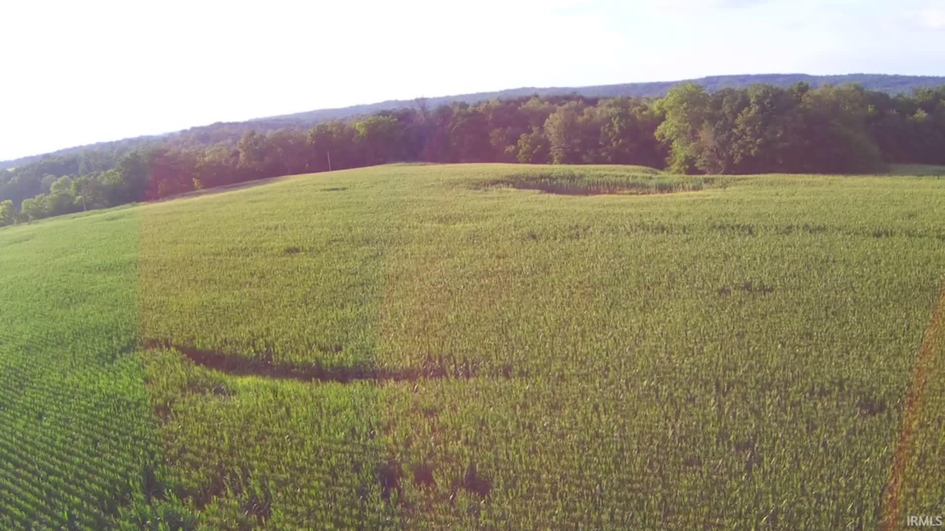 Lingenfelter Road Loogootee, IN 47553 - Photo 3 of 13