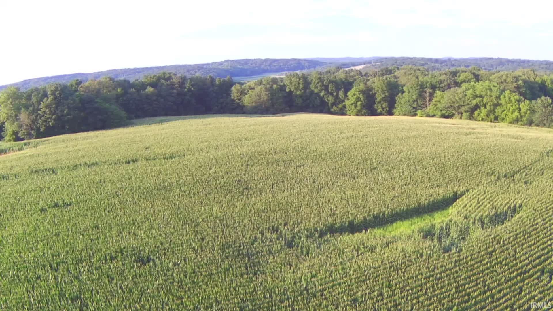 Lingenfelter Road Loogootee, IN 47553 - Photo 5 of 13