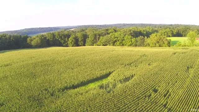 $290,000 | Lingenfelter Road, Loogootee, IN 47553