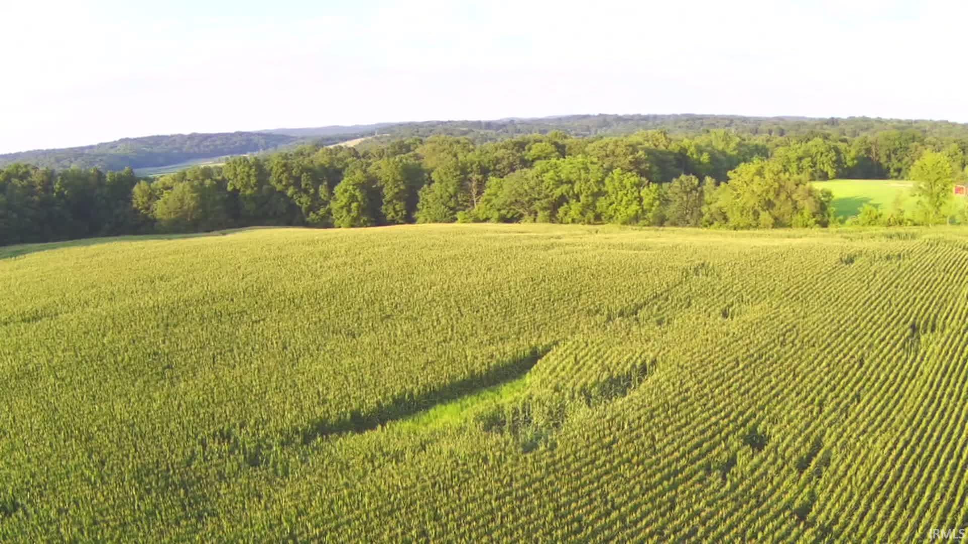 Lingenfelter Road Loogootee, IN 47553 - Photo 6 of 13