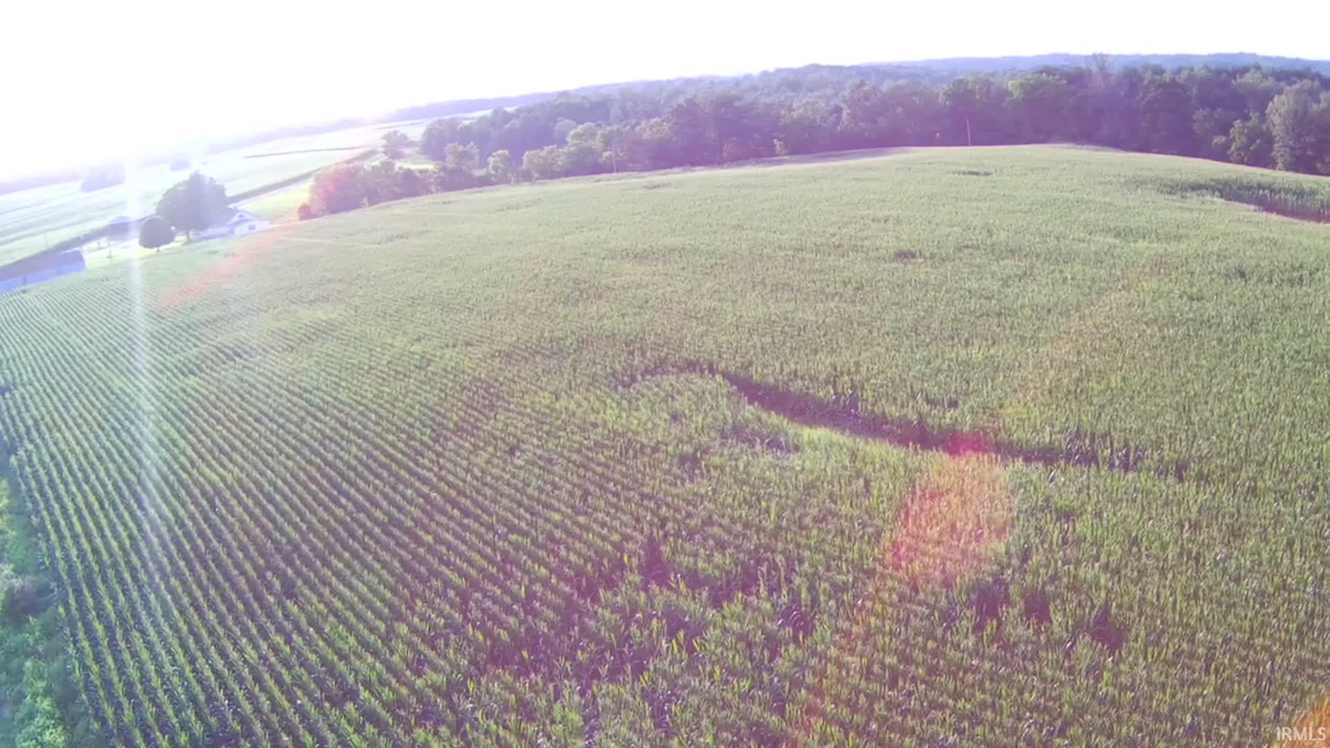 Lingenfelter Road Loogootee, IN 47553 - Photo 9 of 13