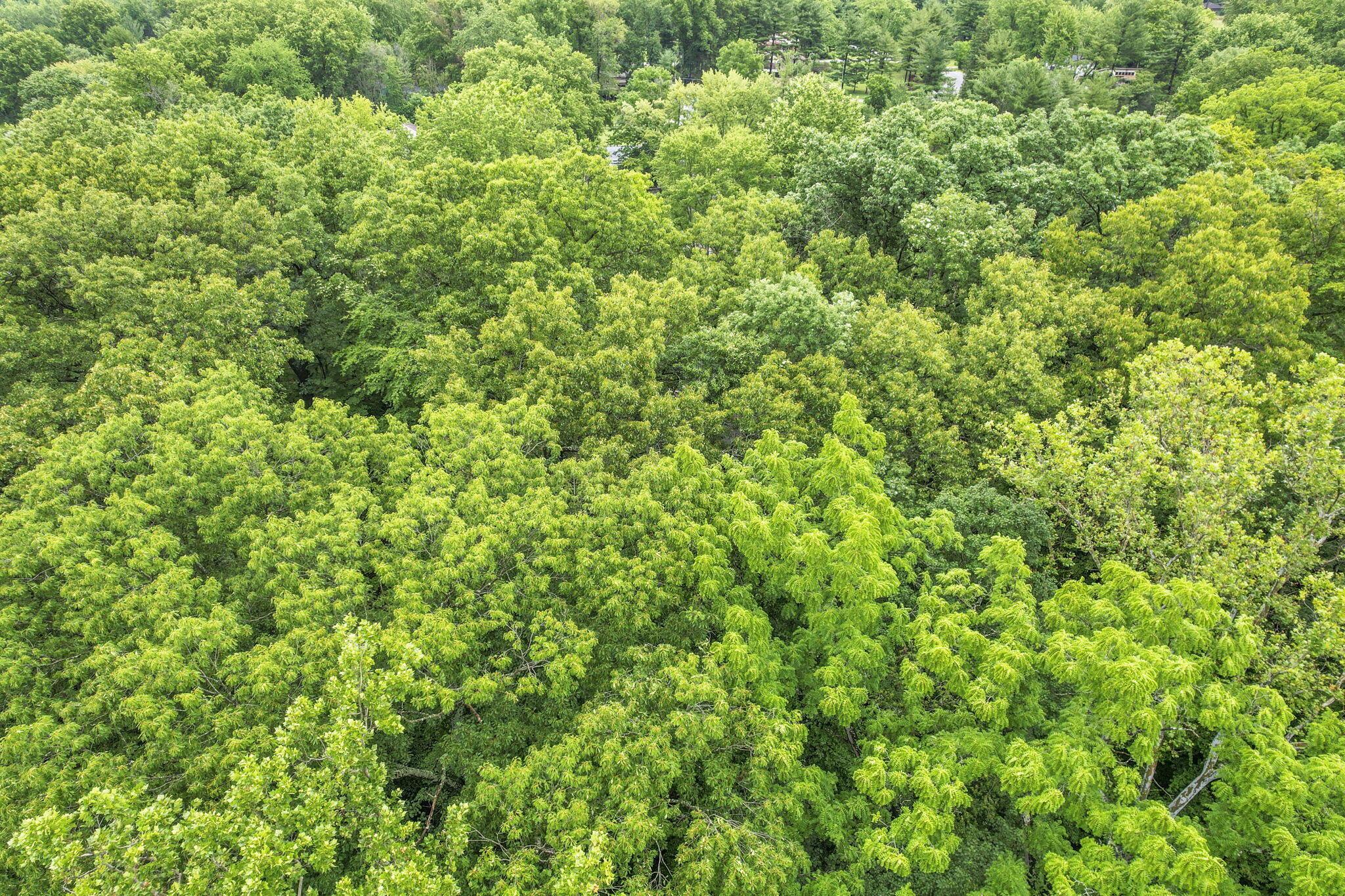 4445 Central College Road Westerville, OH 43081 - Photo 59 of 65 21-web-or-mls-DJI_0693
