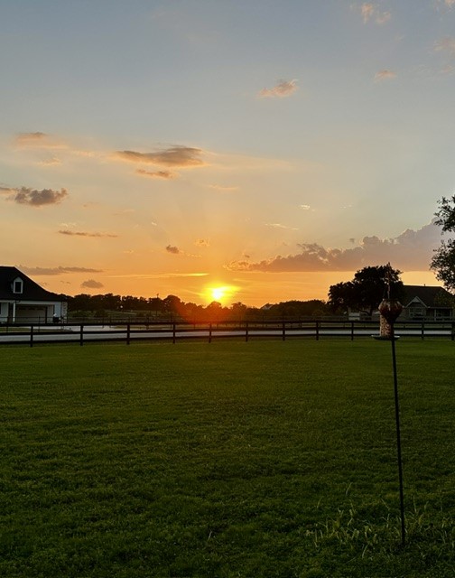 27644 Spring Hill Road Hempstead, TX 77445 - Photo 43 of 50 Sunsets never looked better while sitting on the front porch