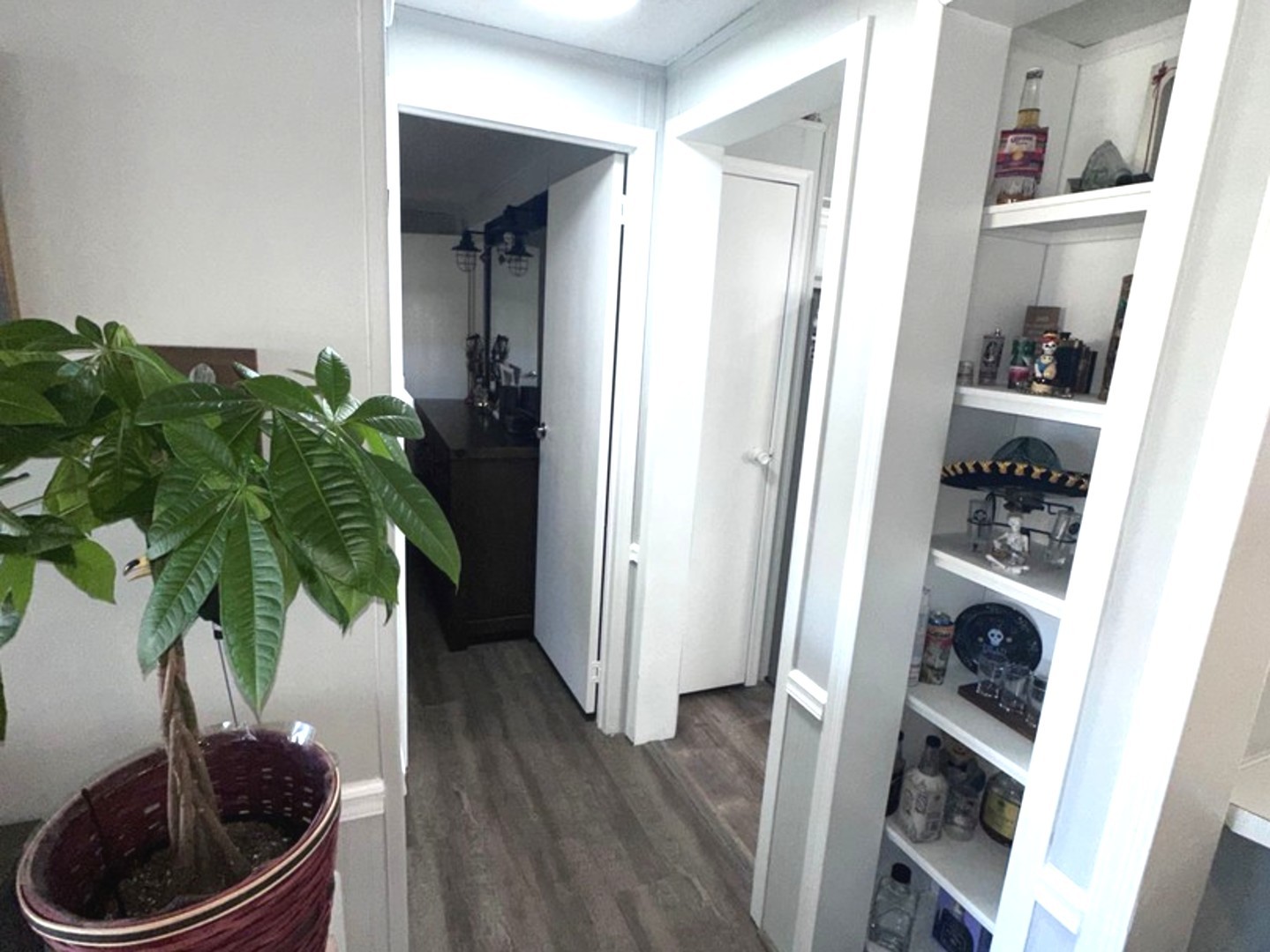 201 Greenview Road Belvidere, IL 61008 - Photo 38 of 57 a potted plant sitting in a kitchen next to a window