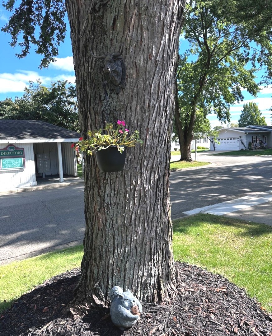 201 Greenview Road Belvidere, IL 61008 - Photo 53 of 57 a view of a backyard with a tree