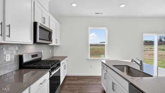 836 Comice Pear Way Willow Spring, NC 27592 - Photo 7 of 36