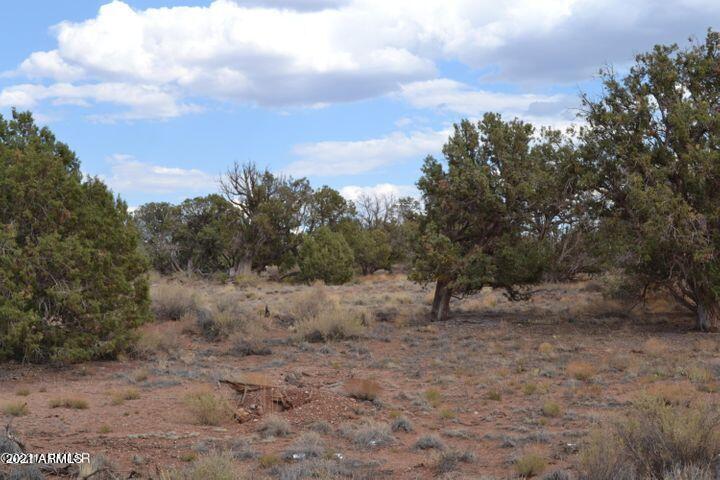4329 Clydesdale Road, Unit 69 Snowflake, AZ 85937 - Photo 1 of 8 4329 1
