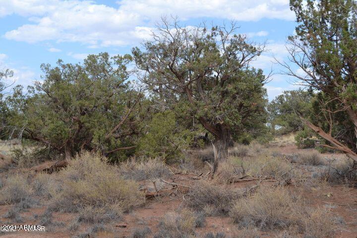 4329 Clydesdale Road, Unit 69 Snowflake, AZ 85937 - Photo 3 of 8 4321 3