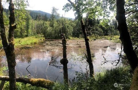 0 Clear Creek Road Darrington, WA 98241 - Photo 5 of 7 a view of a lake in between two trees