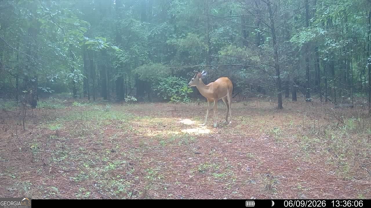 1 Bethesda Church Road Lexington, GA 30648 - Photo 46 of 78
