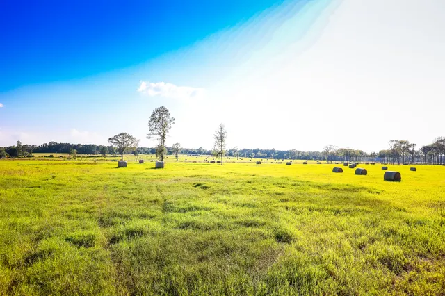 a view of an ocean from a balcony