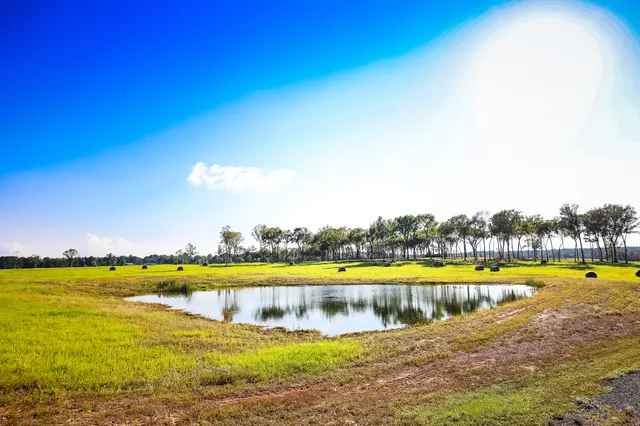 a view of an ocean and beach