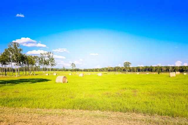 a view of a lake view