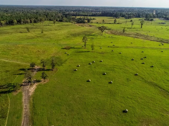 $3,875,000 | 3280 North Fm 450, Hallsville, TX 75650