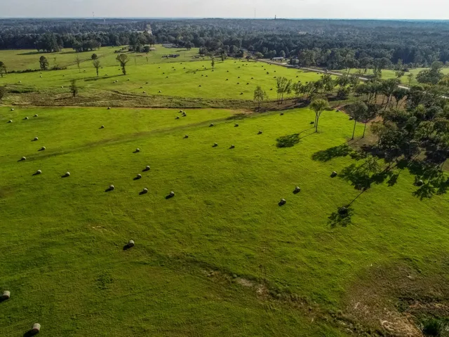 $3,875,000 | 3280 North Fm 450, Hallsville, TX 75650