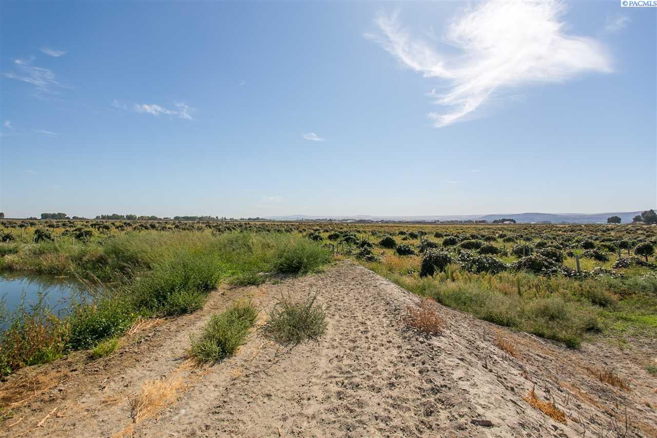 Tbd Dent Road Pasco, WA 99301 - Photo 24 of 30 Gallery Image 24