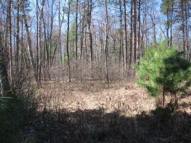 1331 Scott Road Woodruff, WI 54568 - Photo 10 of 20 Gallery Image 10