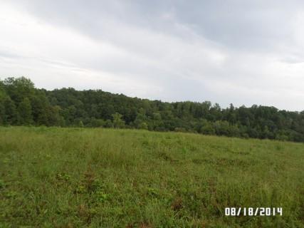 0 Shores Road Goodspring, TN 38460 - Photo 8 of 14