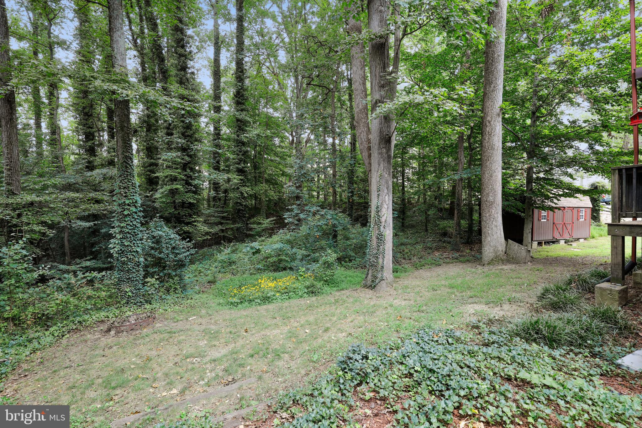 537 Fern Road Riva, MD 21140 - Photo 58 of 59 Rear Yard