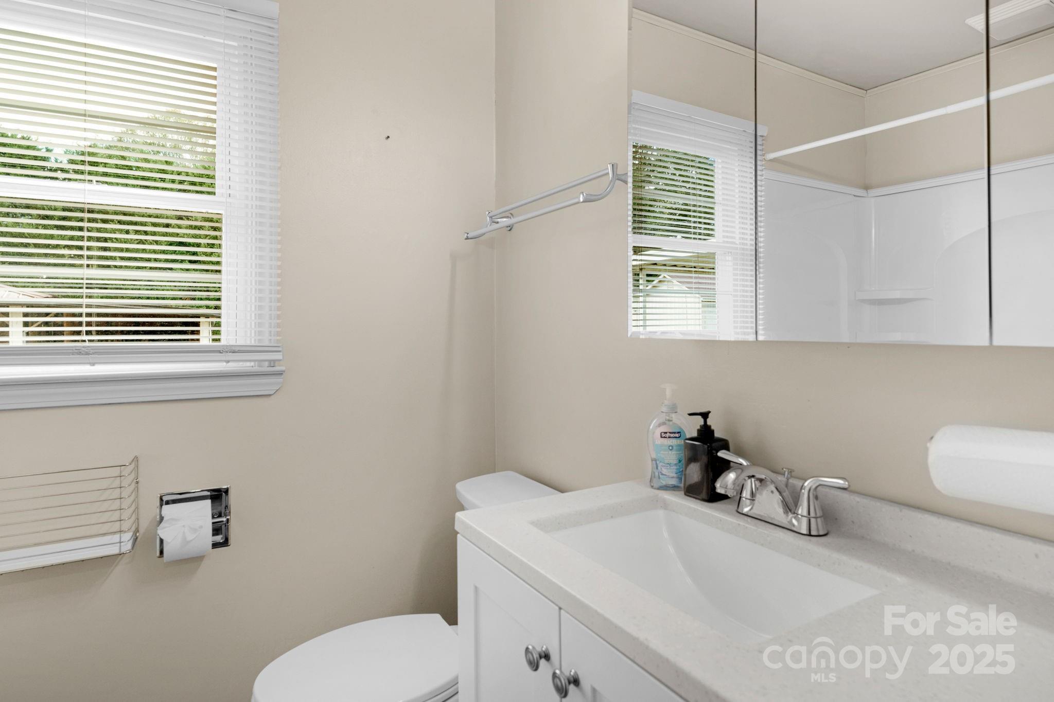 1202 Flowe Drive Matthews, NC 28104 - Photo 23 of 47 a bathroom with a sink a toilet and a mirror