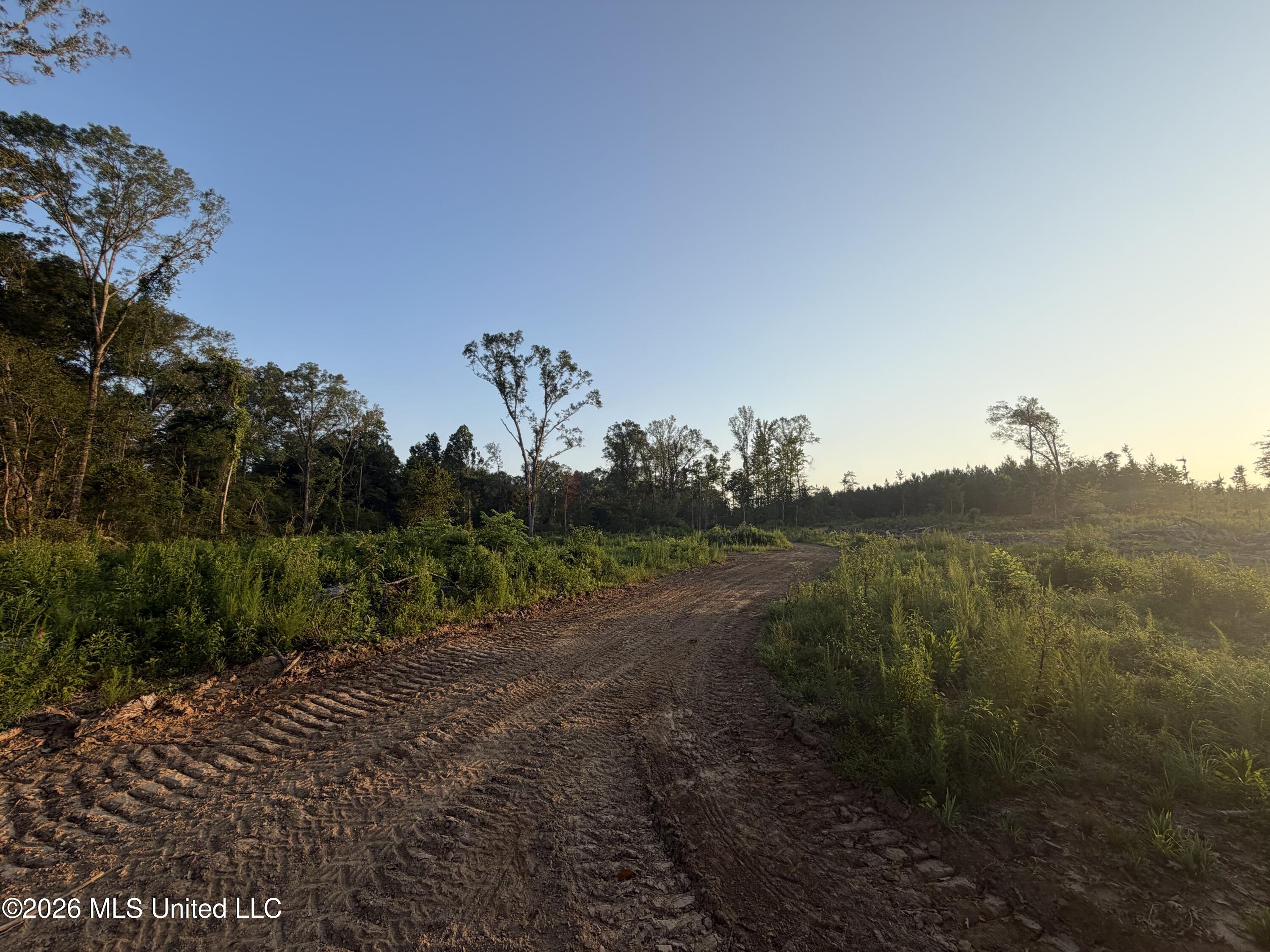 Carroll Rd Port Port Gibson, MS 39150 - Photo 6 of 24 Photo Jul 01 2026, 6 42 56 AM