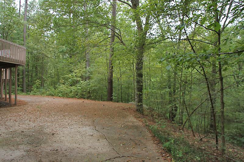 27 Sandstone Ridge Drive Durham, NC 27713 - Photo 11 of 12 Back Yard