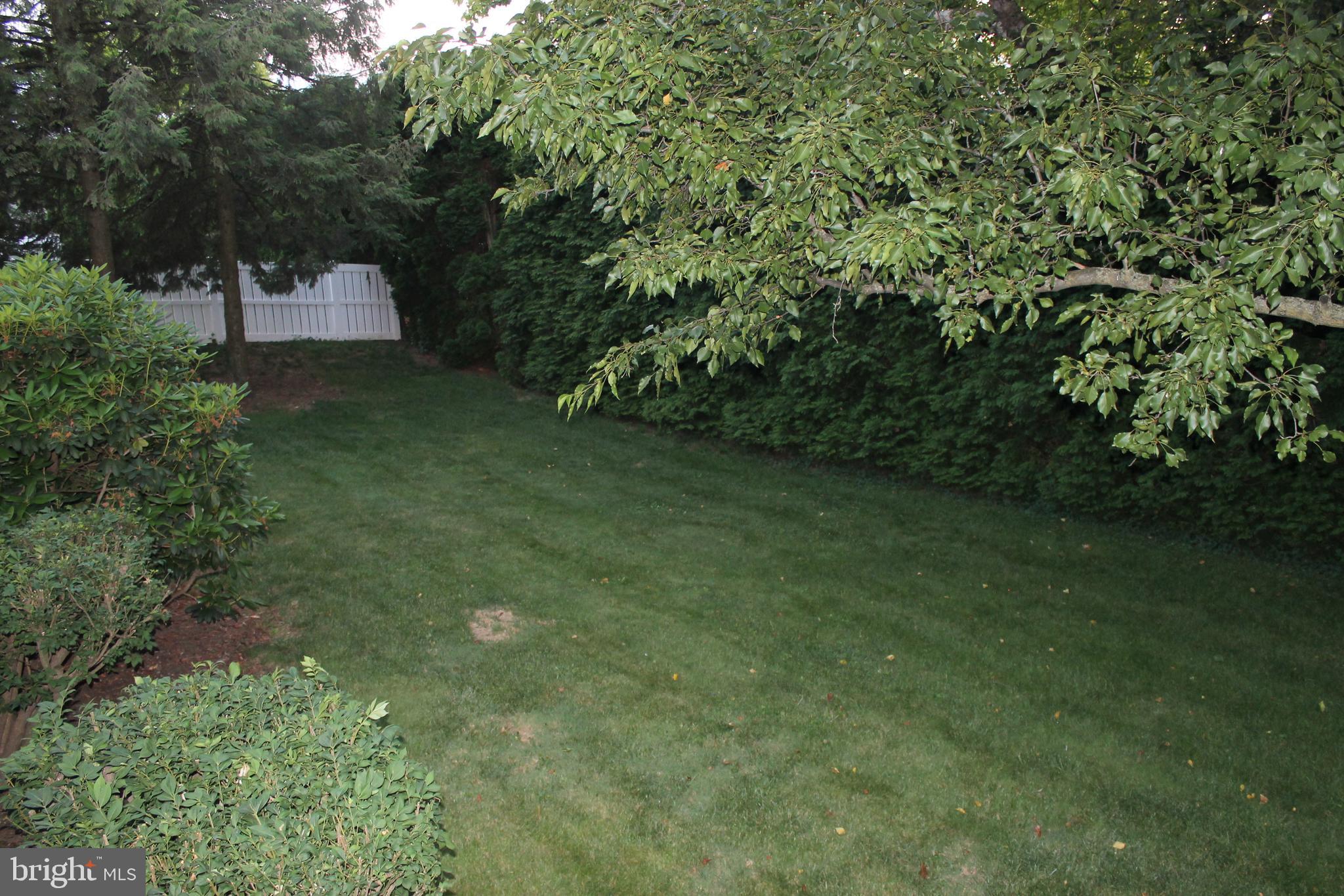 1554 Singer Road Wyomissing, PA 19610 - Photo 17 of 21 Backyard