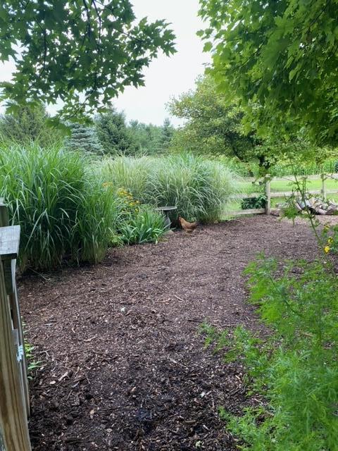 10321 Chase Lake Road Fowlerville, MI 48836 - Photo 50 of 69 garden