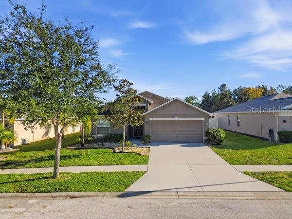 10120 Ives Loop Hudson, FL 34667 - Photo 22 of 23 a front view of a house with a yard and trees