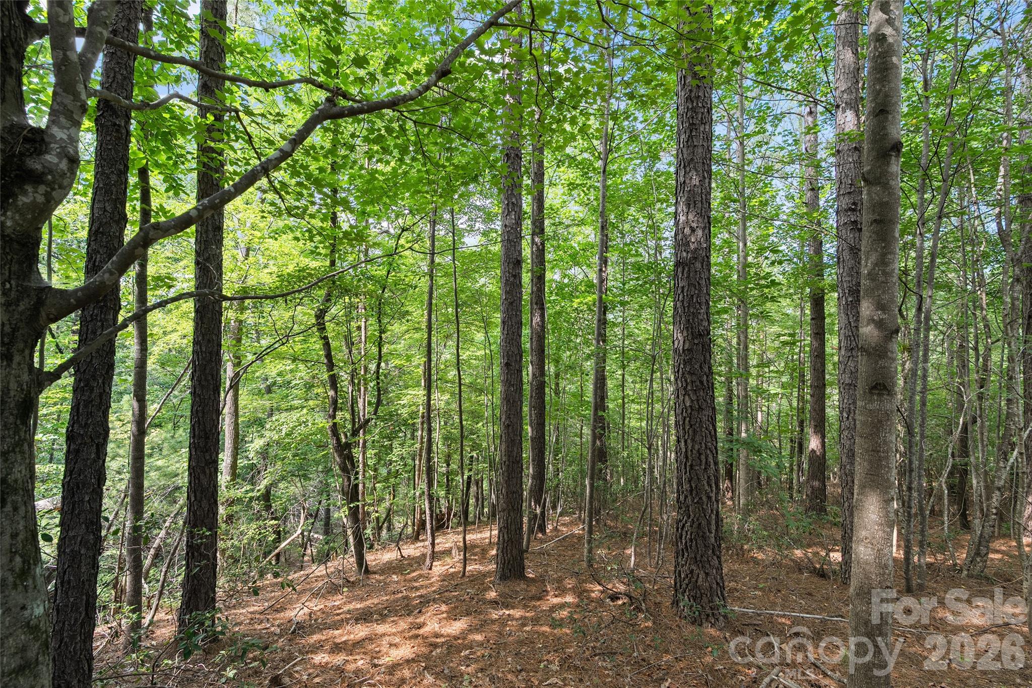 Lot 24 Monteith Pl Mill Spring Mill Spring, NC 28756 - Photo 7 of 24