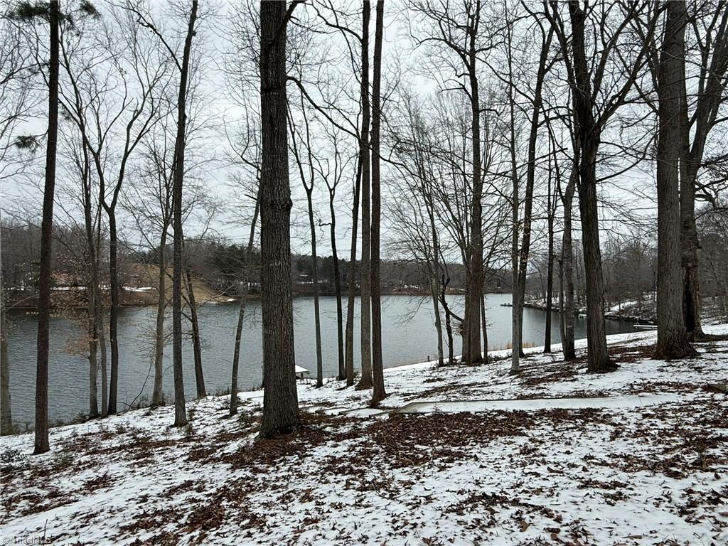 324 Holly Berry Lane Roxboro, NC 27574 - Photo 6 of 34