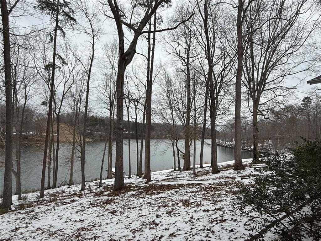 324 Holly Berry Lane Roxboro, NC 27574 - Photo 7 of 34