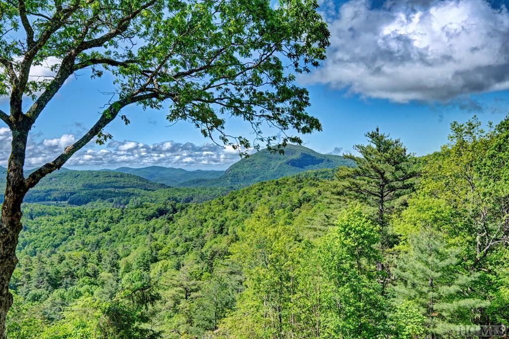 125 Rambouillet Road Cashiers, NC 28717 - Photo 18 of 49 Gallery Image 18
