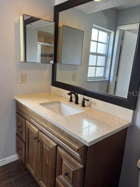 1927 Cheney Court Lutz, FL 33549 - Photo 14 of 20 a bathroom with a sink and a mirror