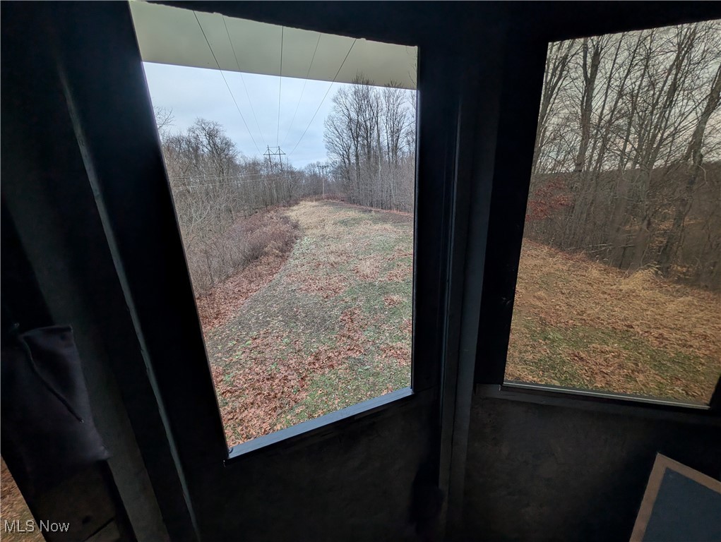 Brown Peavine Road Alledonia, OH 43902 - Photo 42 of 50
