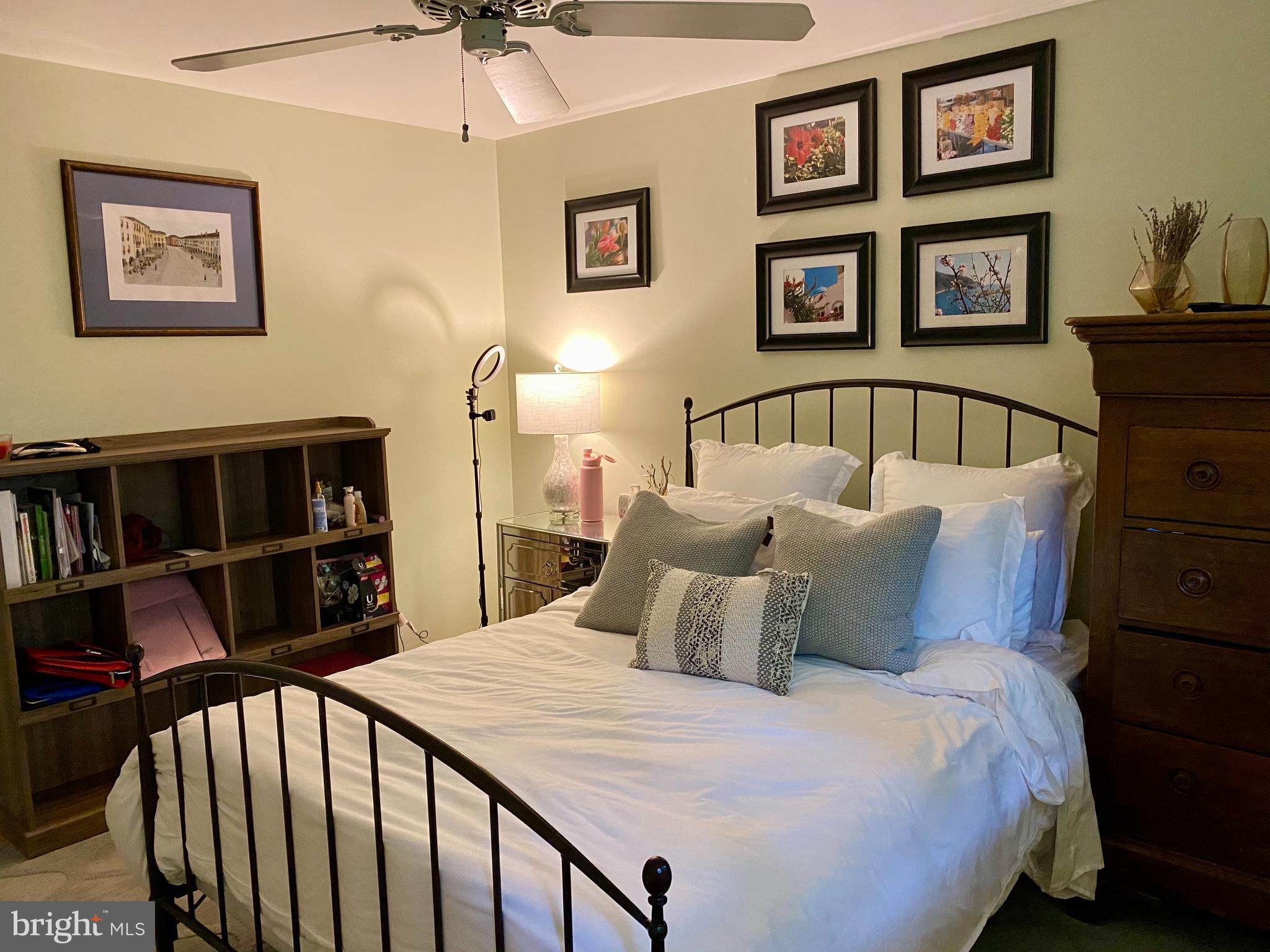 5885 9th Road North Arlington, VA 22205 - Photo 19 of 48 Large master bedroom, can fit a king bed