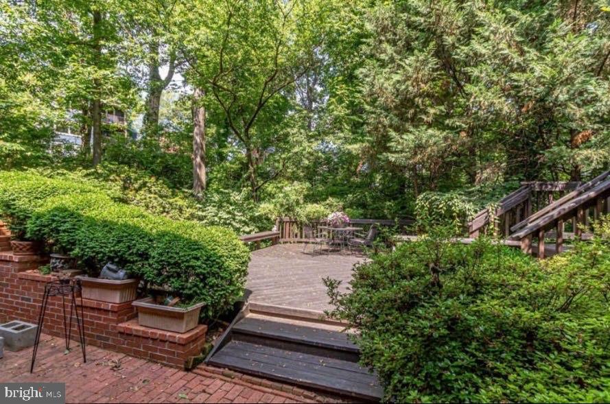 5885 9th Road North Arlington, VA 22205 - Photo 28 of 48 Lush garden retreat with inviting deck.