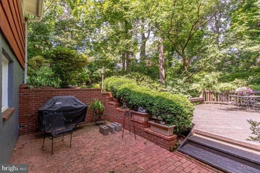 5885 9th Road North Arlington, VA 22205 - Photo 29 of 48 Serene backyard retreat surrounded by greenery.