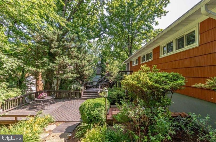 5885 9th Road North Arlington, VA 22205 - Photo 30 of 48 Serene backyard retreat with lush greenery.